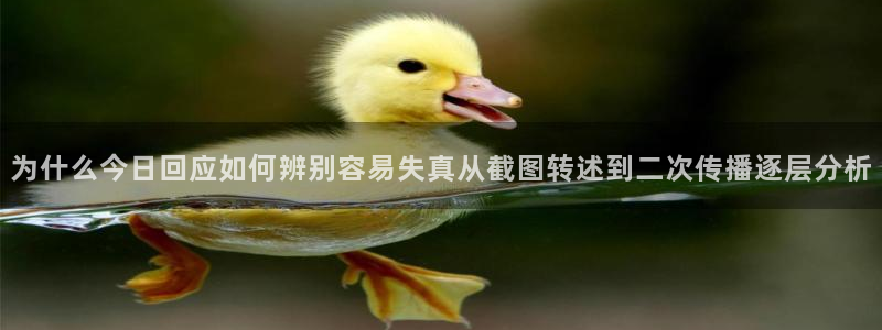 91吃瓜网络资讯：为什么今日回应如何辨别容易失真从截图转述到二次传播逐层分析