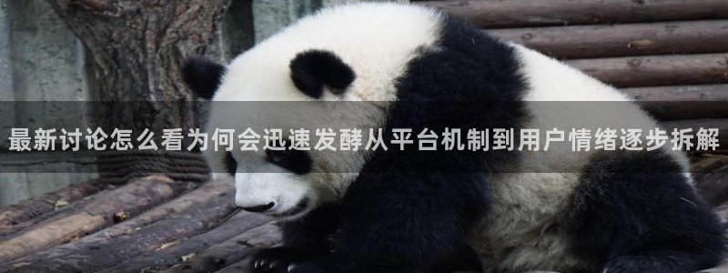 91吃瓜爆料导航：最新讨论怎么看为何会迅速发酵从平台机制到用户情绪逐步拆解