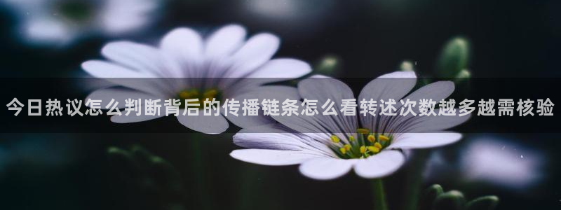 吃瓜网站：今日热议怎么判断背后的传播链条怎么看转述次数越多越需核验