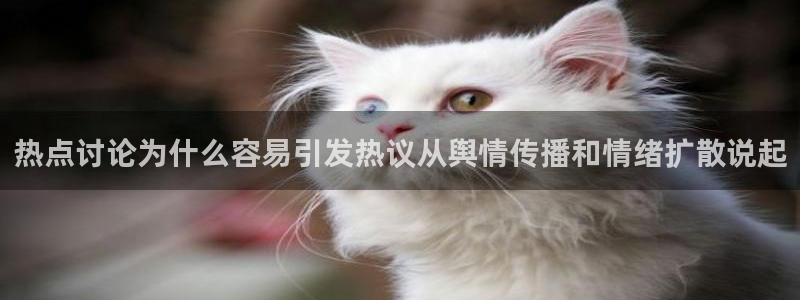 91吃瓜资讯榜：热点讨论为什么容易引发热议从舆情传播和情绪扩散说起
