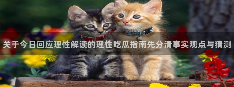 91吃瓜热点资讯：关于今日回应理性解读的理性吃瓜指南先分清事实观点与猜测