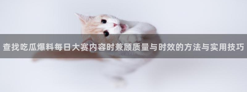 91吃瓜网络爆料:查找吃瓜爆料每日大赛内容时兼顾质量与时效的方法与实用技巧
