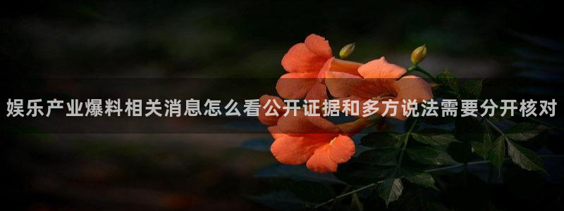 91吃瓜网络爆料:娱乐产业爆料相关消息怎么看公开证据和多方说法需要分开核对
