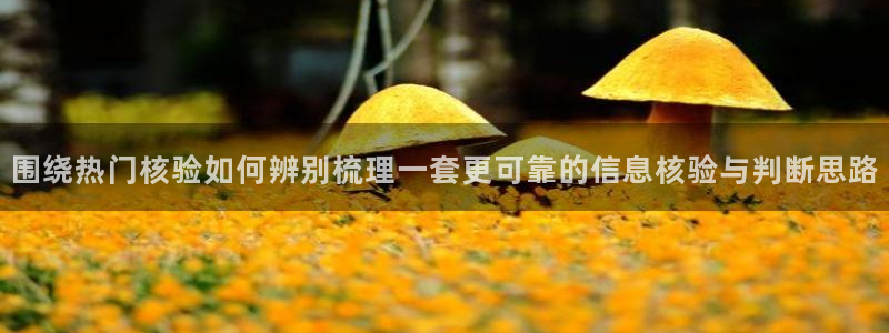 91吃瓜今日新闻:围绕热门核验如何辨别梳理一套更可靠的信息核验与判断思路